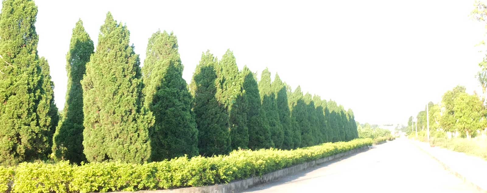 slide-1